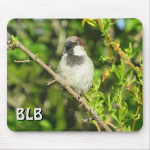 Male House Sparrow your initials Mouse Pad