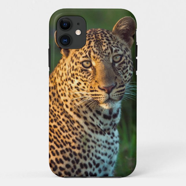 Male Leopard (Panthera Pardus) Full-Grown Cub Case-Mate iPhone Case (Back)