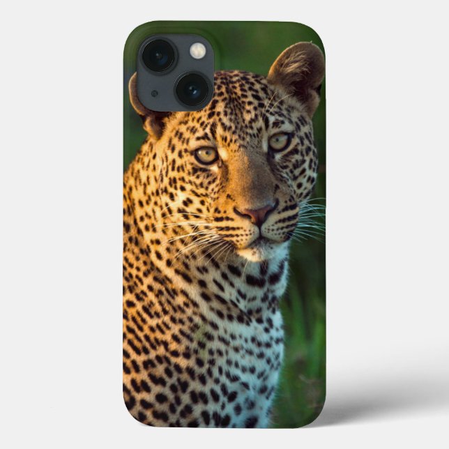 Male Leopard (Panthera Pardus) Full-Grown Cub Case-Mate iPhone Case (Back)