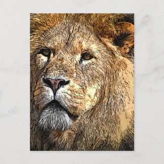 Male lion cartoon fun/novelty postcard