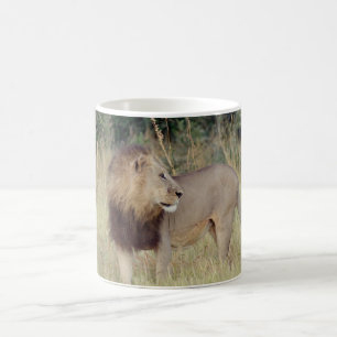 MALE LION COFFEE MUG