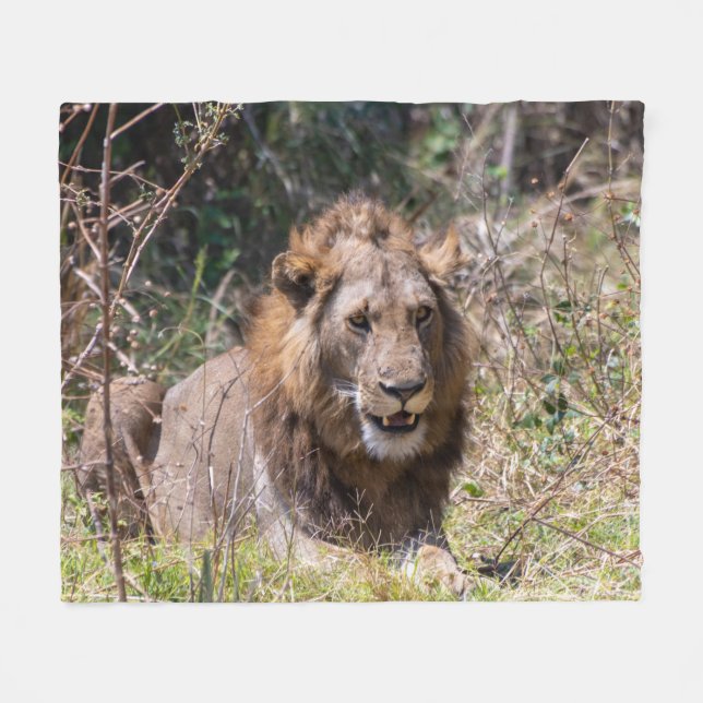 Male Lion Fleece Blanket (Front (Horizontal))