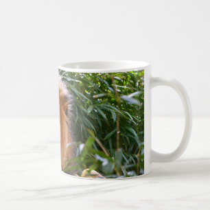 Male Lion, King of Beasts coffee mug