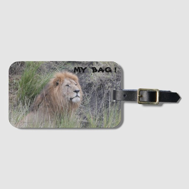 MALE LION  LUGGAGE TAG (Front Horizontal)