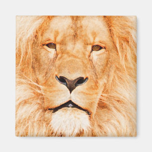 MALE LION MAGNET