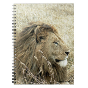 Male Lion Spiral Notebook