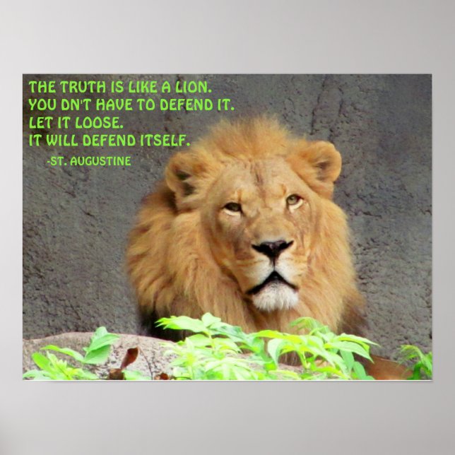 Male Lion St. Augustine Truth Quote Poster (Front)