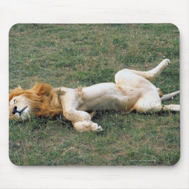 Male Lion Stretching Mouse Pad (Front)