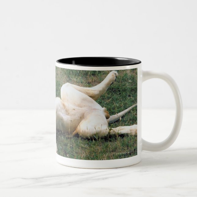 Male Lion Stretching Two-Tone Coffee Mug (Right)