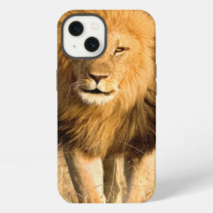 Male Lion Walking iPhone 13 Case