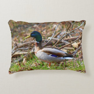 Male Mallard Duck Decorative Cushion