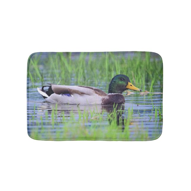 Male mallard duck floating on the water bath mat (Front)