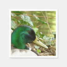 Male Mallard Duck Napkin