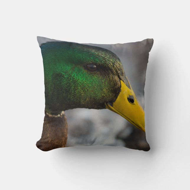 Male Mallard Portrait Cushion (Front)