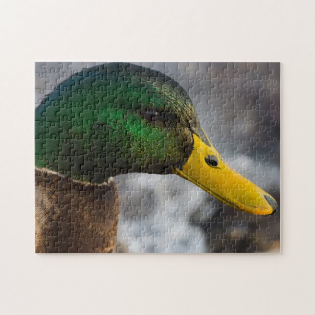 Male Mallard Portrait Jigsaw Puzzle (Horizontal)
