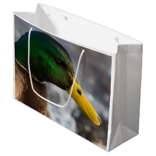 Male Mallard Portrait Large Gift Bag