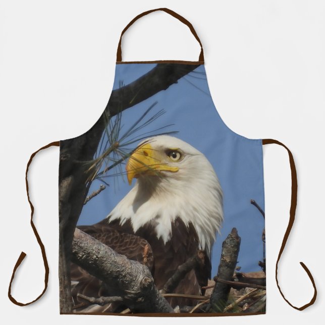 Male Mature Bald Eagle  Apron (Front)
