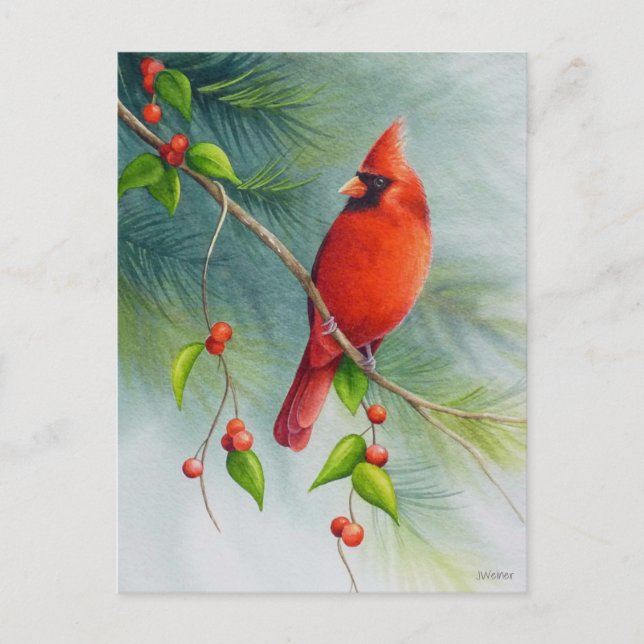 Male Northern Cardinal Bird Watercolor Art Postcard (Front)