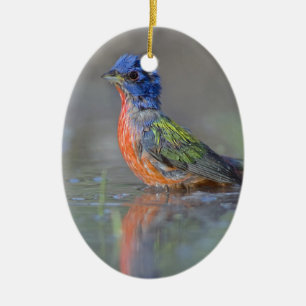 Male Painted Bunting Ceramic Tree Decoration