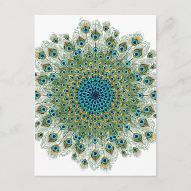 Male Peacock Colourful Mandala Postcard (Front)