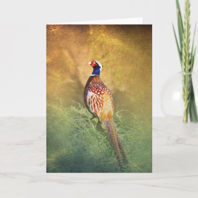 Male Pheasant Greetings Card (Front)