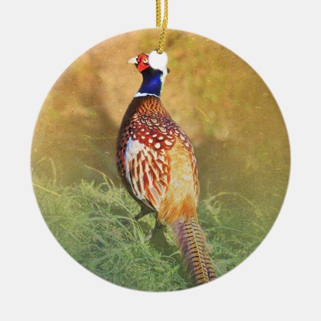 Male Pheasant Ornament (Front)