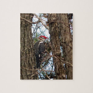 Male Pileated Woodpecker Jigsaw Puzzle