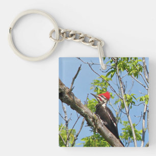 Male Pileated Woodpecker Key Ring