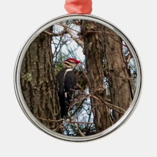 Male Pileated Woodpecker Metal Tree Decoration