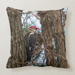 Male Pileated Woodpecker Pillow