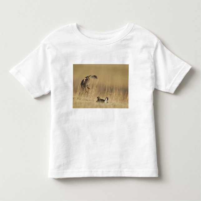 Male prairie chickens at lek in Loup County Toddler T-Shirt (Front)