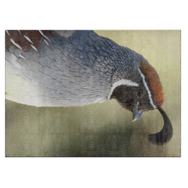 Male Quail Cutting Board (Front)