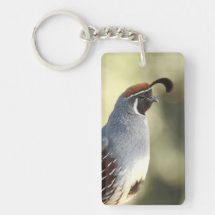 Male Quail Key Ring