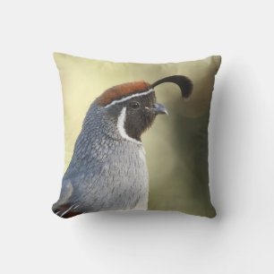 Male Quail Portrait Cushion