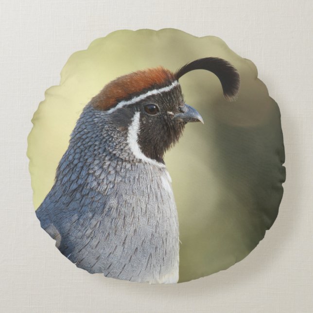 Male Quail Portrait Round Cushion (Front)