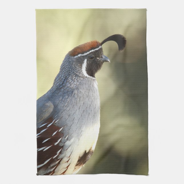 Male Quail Tea Towel (Vertical)