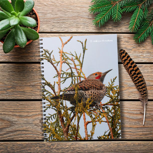 Male Red-Shafted Northern Flicker in a Tree Spiral Notebook