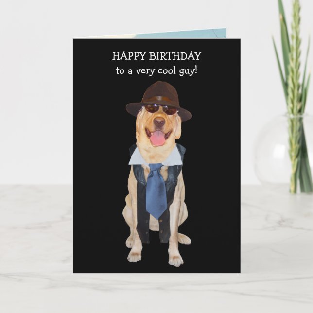 Male Relative Funny Dogs Birthday Card (Front)