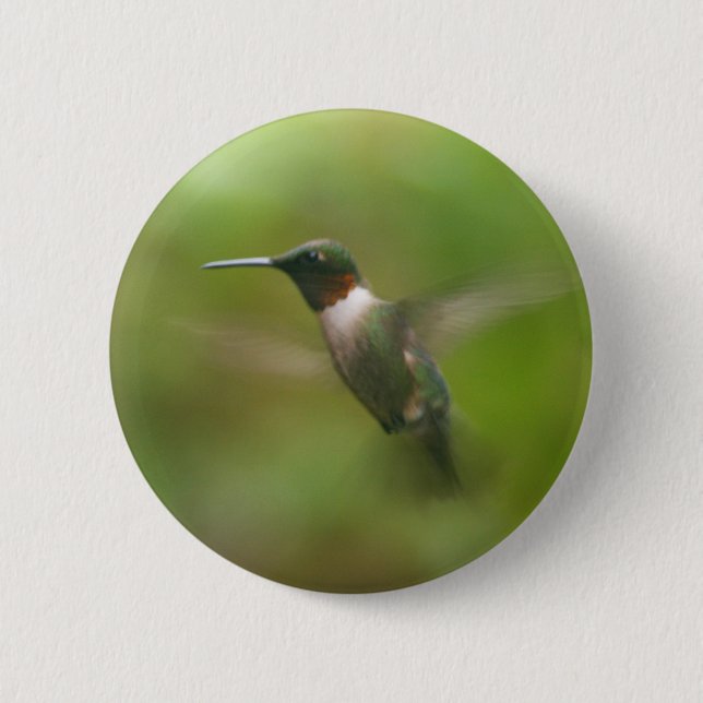 Male Ruby Throat Hummingbird Button (Front)