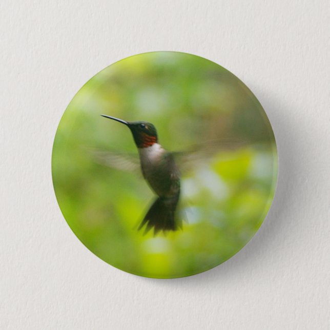 Male Ruby Throat Hummingbird Button (Front)