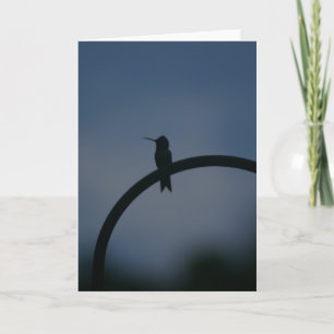 Male Ruby Throat Hummingbird Card