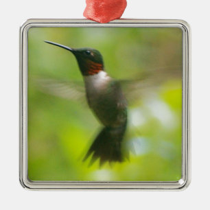 Male Ruby Throat Hummingbird Metal Tree Decoration