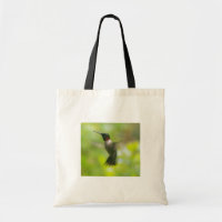 Male Ruby Throat Hummingbird