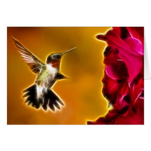 Male Ruby-throated Hummingbird