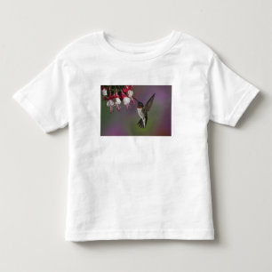 Male Ruby throated Hummingbird, Archilochus Toddler T-Shirt