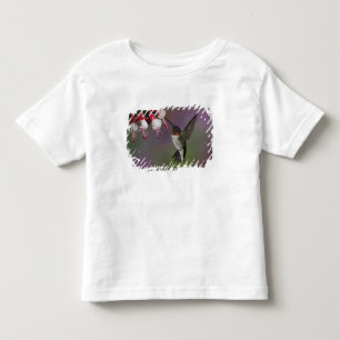 Male Ruby throated Hummingbird, Archilochus Toddler T-Shirt