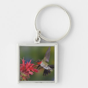Male Ruby-throated Hummingbird Key Ring