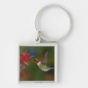 Male Ruby-throated Hummingbird Key Ring