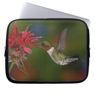 Male Ruby-throated Hummingbird Laptop Sleeve