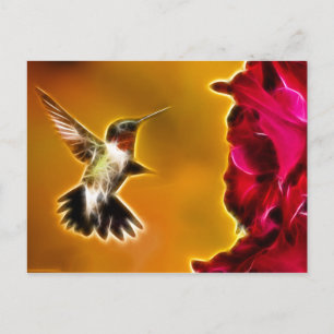 Male Ruby-throated Hummingbird Postcard